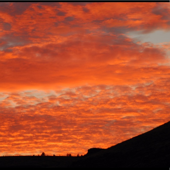 Meet your Posher, Cassia - Picture 1 of 1